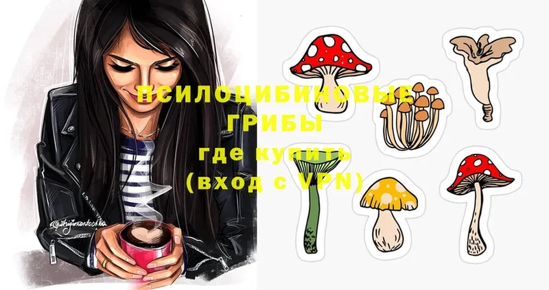 хочу   Артёмовск  darknet формула  Галлюциногенные грибы MAGIC MUSHROOMS 